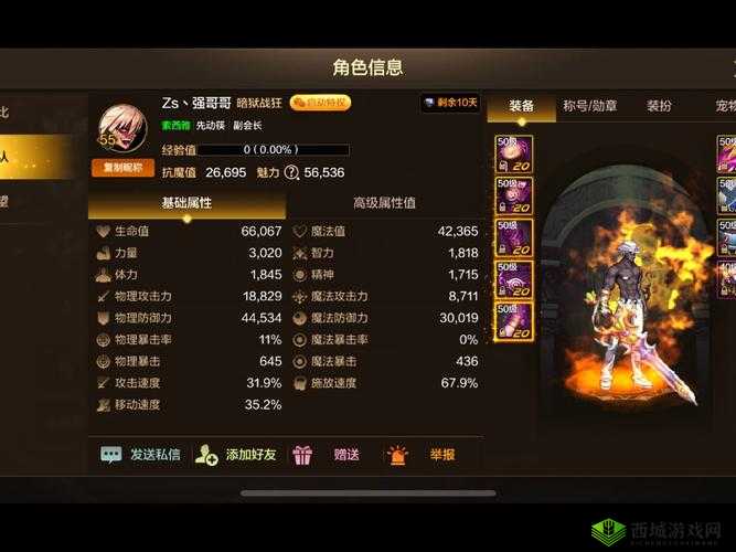 DNF 手游抗魔值大揭秘：提升战力的关键