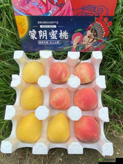 无人一区二区区别红桃内幕揭秘之深度剖析
