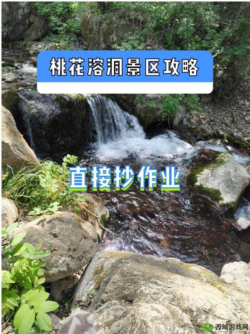 桃花洞口现状探访：探寻其历史渊源与当前真实情况