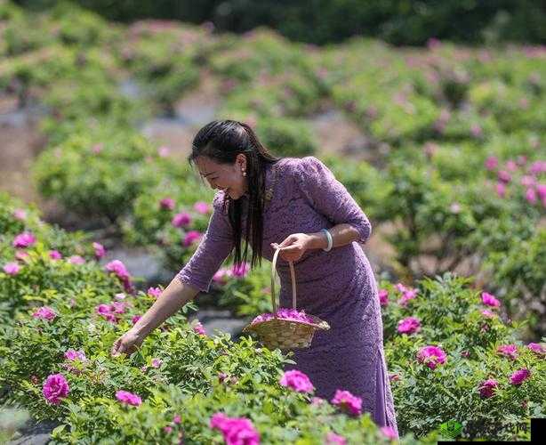 国产精品摘花：探寻自然之美