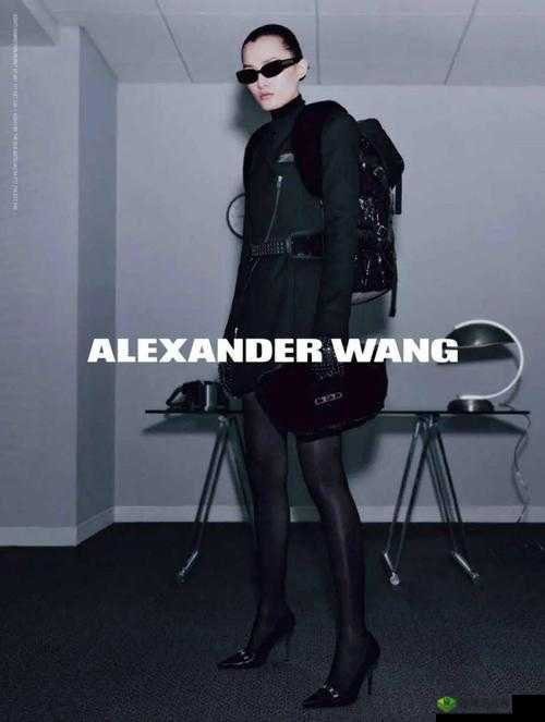 Alexanderwang 妈妈的时尚人生传奇