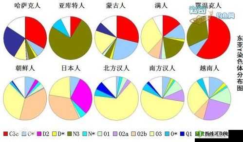 亚洲人与欧洲人染色体的区别：深入探究基因差异之谜