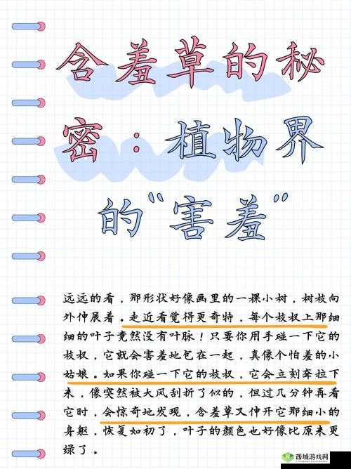 奇妙的含羞草、四叶草、三叶草世界