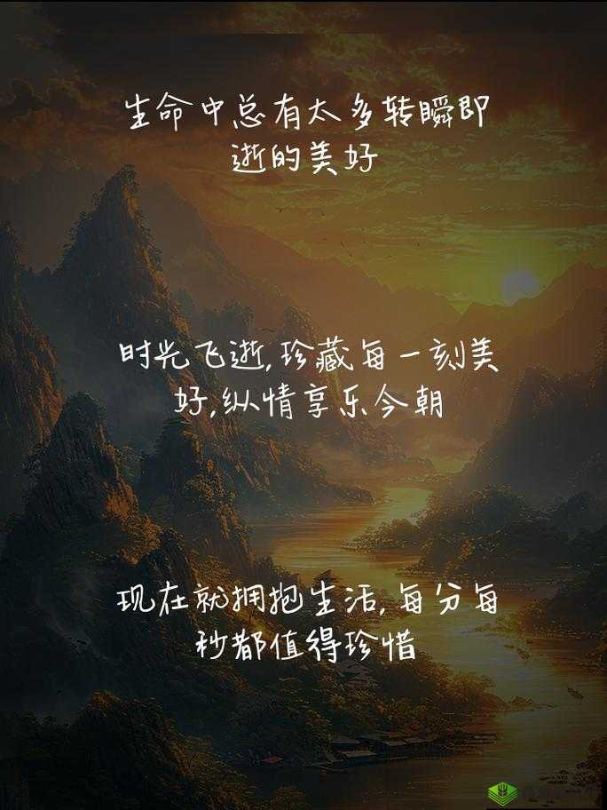 轻松享受两种美好时光：沉浸在温馨与欢乐的时刻