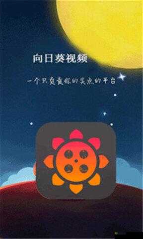 探寻 2024 年幸福宝 8008 隐藏入口的奥秘