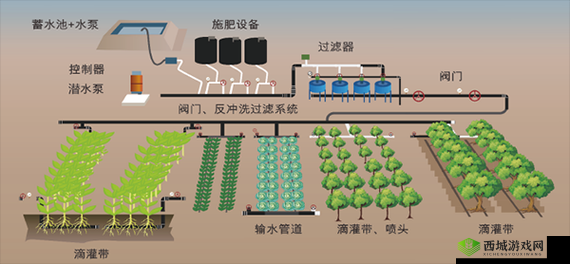 智能精准灌溉系统：y 液收集与环保的完美结合