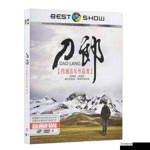 高清 DVD 碟片口：畅享高清影像的绝佳入口