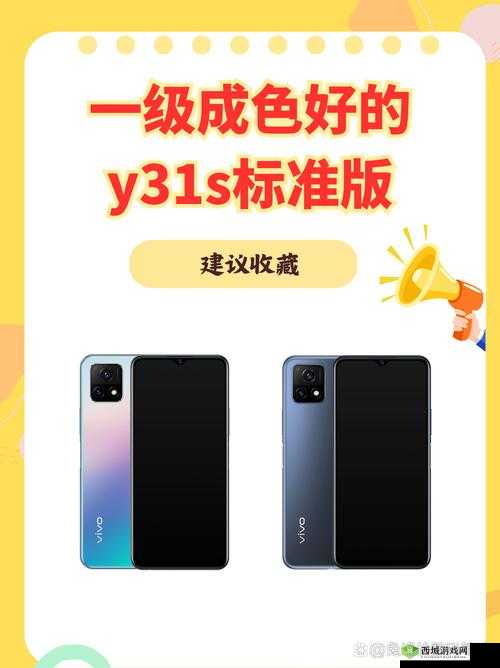 成色好的 Y31 与普通 Y31 区别究竟在哪