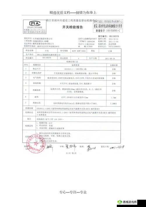 扶老二轻量版线路检测 3 详细检测及相关情况说明