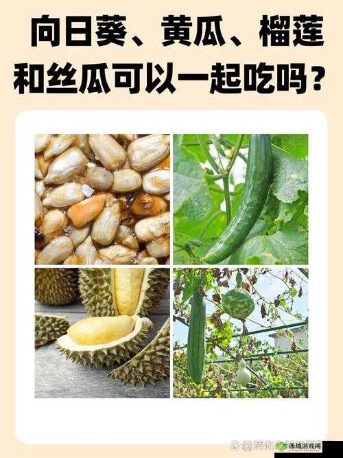 丝瓜草莓秋葵榴莲：四种蔬果的奇妙世界与独特魅力