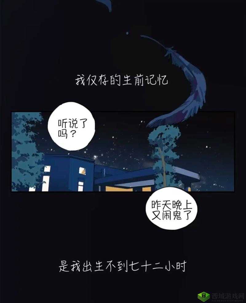 黄版本富二代抖音：一个独特的抖音账号背后的故事