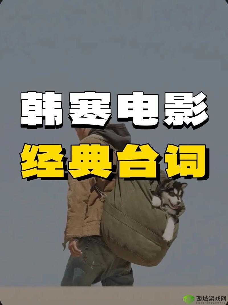 致敬韩寒：用光影致敬电影艺术，每日一部经典之作