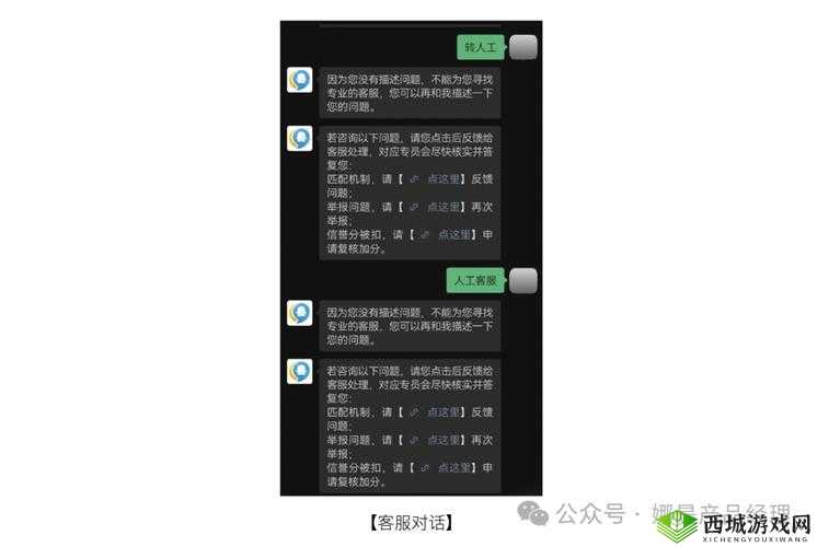 GY2024小蓝视频揭秘：如何通过创新技术提升用户体验并引领行业趋势？