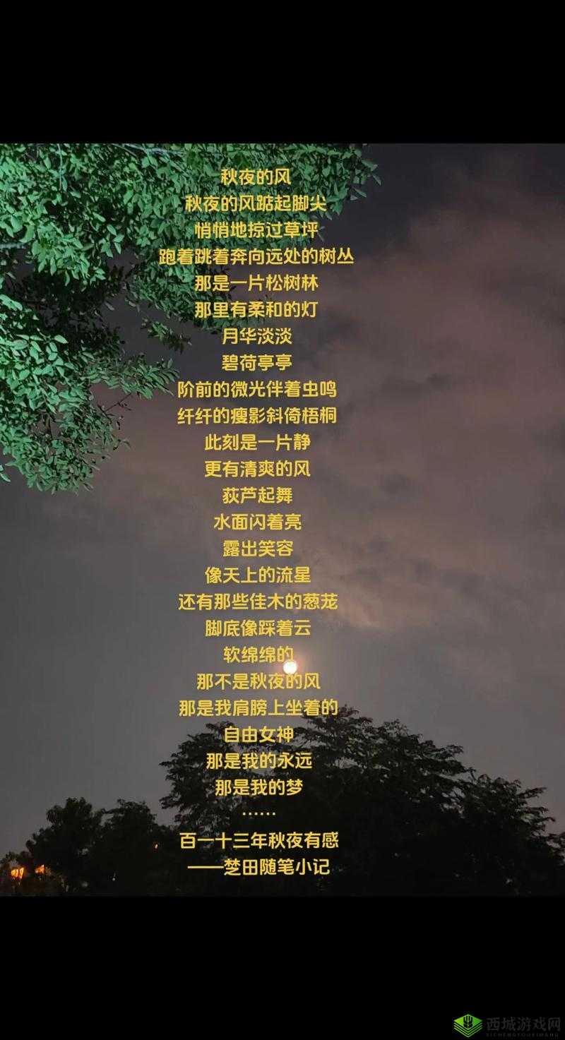 秋霞午夜是什么？为何它能引起人们的关注？探寻秋霞午夜背后的故事