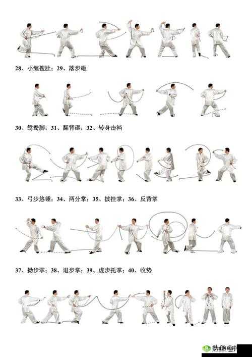 掌握八式太极拳口令的完整指南：轻松学习每一步动作要领