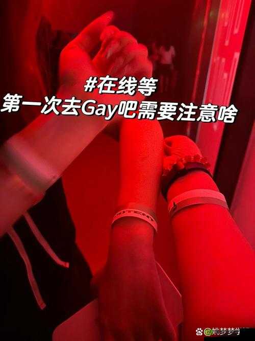 外卖 Gay XXXXGay1✔sole 究竟是什么？它有着怎样独特的魅力和意义？