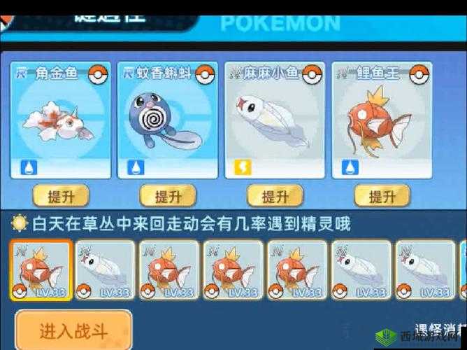 Pokemmo暴鲤龙技能搭配全攻略，打造你的战斗巨兽