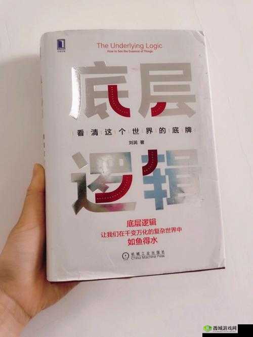 风云岛行动大锅战备该如何选择？揭秘底层逻辑与操作映射的奥秘！